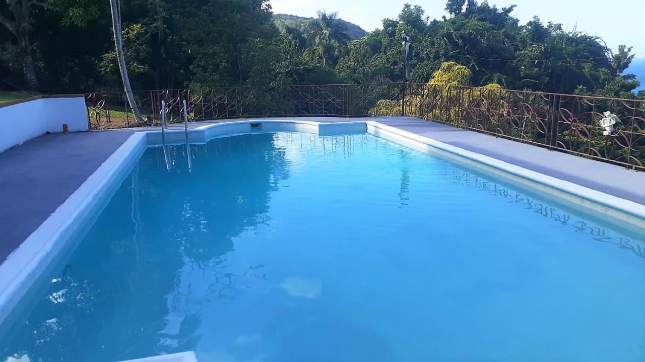 Villa Dianna - Entire Villa, Roof Terrace, Pool, Garden, Sea Views Near Dunn'S River Ocho Rios Exterior photo