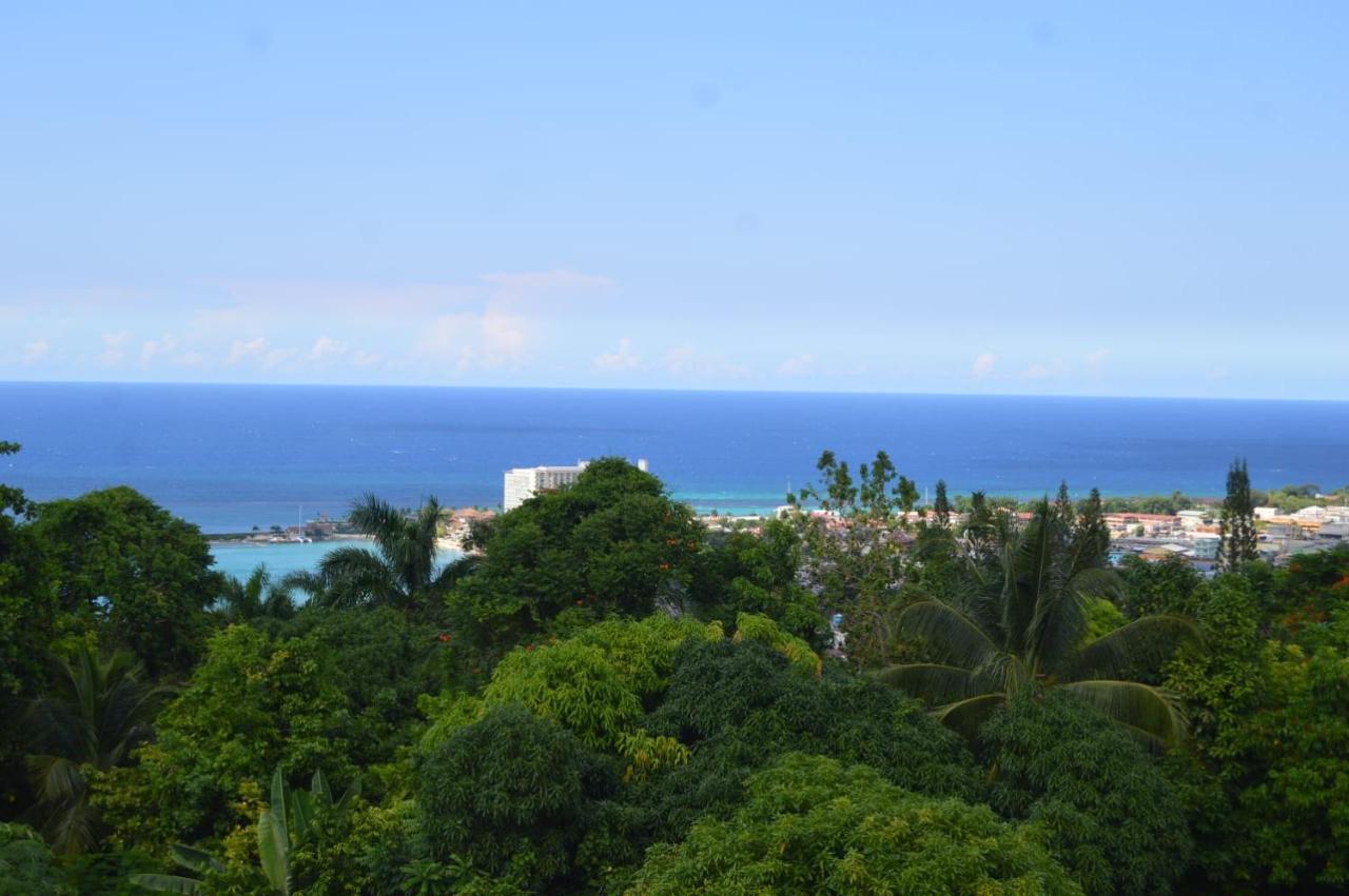 Villa Dianna - Entire Villa, Roof Terrace, Pool, Garden, Sea Views Near Dunn'S River Ocho Rios Exterior photo